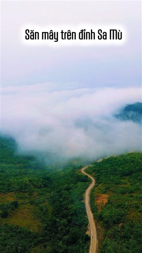 #dulich Đỉnh Đèo Sa Mù Quảng Trị #travel