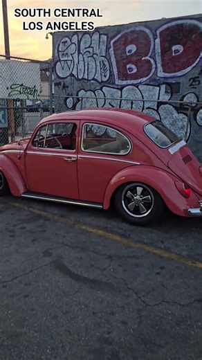 65 VW BUG & 63 IMPALA in South Central LA #vwbug #63impala #southcentral