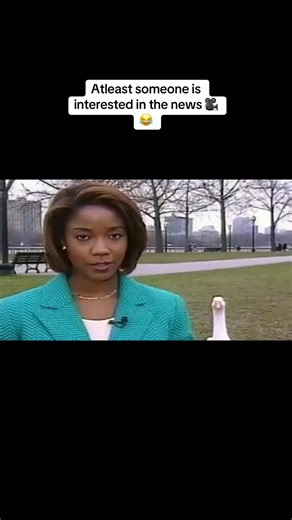 ANIMALS GONE WILD Episode: 572 He was paying close attention too😂. 🚨FOLLOW for your daily dose of satirical unhinged news🎥 #dryhumor #comedynews #hilariousclips #dontmissthis #viralhumor