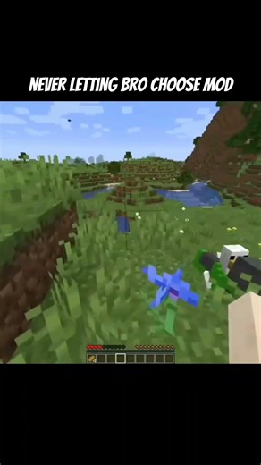 Never letting bro add a mod. #minecraft #gaming #mod #funny #viral #trending #shorts