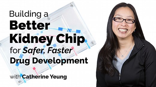 VIDEO: Bioengineering a Kidney Chip for Better, Safer, and Faster Drug Development