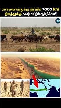 பாலைவனத்துக்கு நடுவுல சுவரா? | Sahara's Great green wall