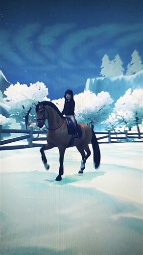 KWPN ❤️ #sso #kwpn #snow