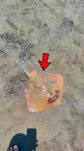 83K views · 468 reactions | This is beautiful | SA village houses and estate | Facebook