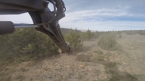 BLM treating thousands of acres of juniper through mastication to improve sage grouse habitat