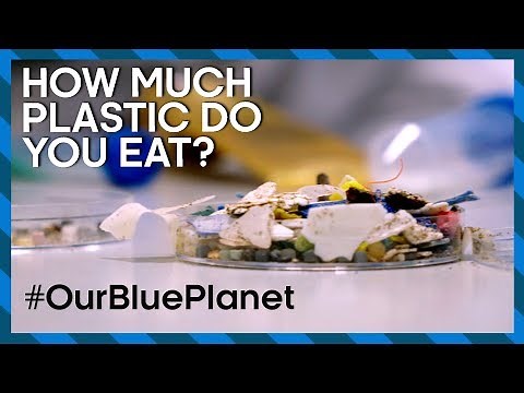 How Much Plastic Do You Eat? #OurBluePlanet | Earth Science