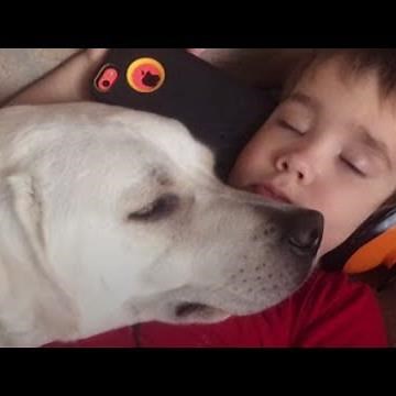 Boy With Autism Gets Dog Who Changes His Life | The Dodo