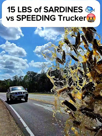Throwing Sardines at Speeders: A Wild School Zone Prank
