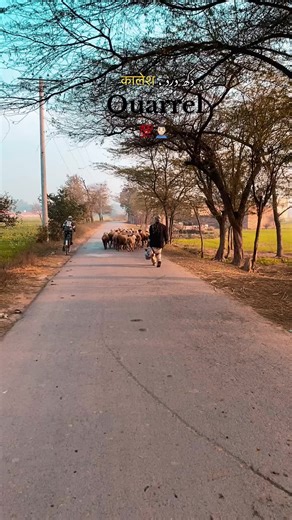 Conflicts 😐💯 #punjabishayari #foryoupage #deeplines #viral #trending