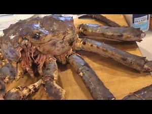 Alaskan King Crab - Wicked Good Eats