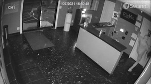 Tulsa Police Department on Reels