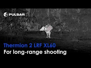 Thermion 2 LRF XL60 | Unmatched precision in HD | Thermal imaging scope