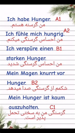 deutsch.farsi on TikTok