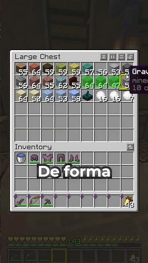 Este mod te ordena los cofres solo! #monz #minecraft #monzmc