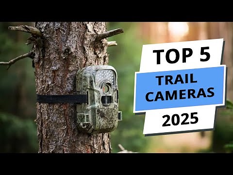 Top 5 Best Trail Cameras 2025 - Premium Picks