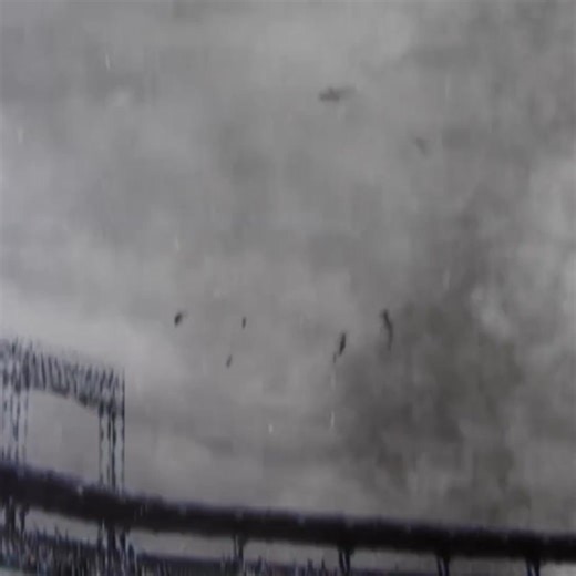 De luni până joi, intră în vârtejul de acțiune, umor și haos fără limite cu cele 4 filme Sharknado. Începând cu ora 22:55, pe AXN. | AXN Romania