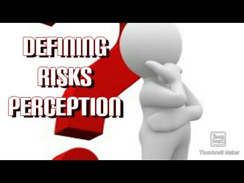 RISKS Perception Explained