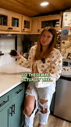 Discover our secret pantry and hidden storage | Tiny House Giant Journey