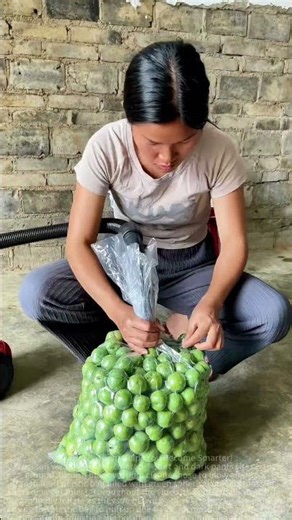 A clever trick to make a bag puff up using a vacuum cleaner!