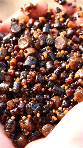 21K views · 211 reactions | CAL’S GO-TO AUTUMN PELLET MIX!  Carp...