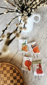 19K views · 46 reactions | I’ve wanted to try a growing pumpkins for...