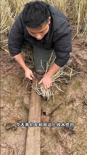 The red snake will bite Papa.🤯😱 viral gadget Home appliances kichen application #facts #shorts