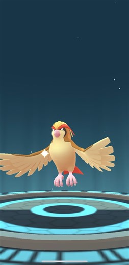 [Pokemon GO] Full Evolution Line of Pidgey into Pidgeot #tiktokeffects #pidgey #pidgeot #pidgeotto