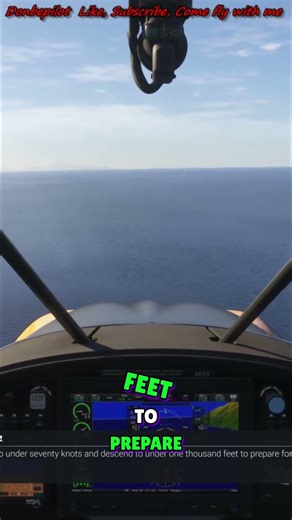 Bush Plane Landing: Epic Flyover to Smooth Rollout! #shorts