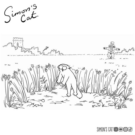 459K views · 10K reactions | The days are getting longer... | Simon's Cat | Facebook