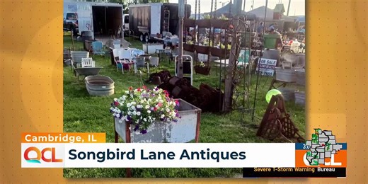 Cambridge antiques business to host summertime market