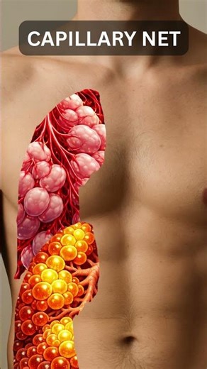 What’s REALLY Inside Your Lungs? 🫁🔍 (Part 2)
