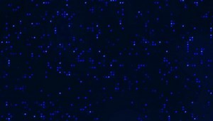 Digital Technology Background Video Footage Stock Footage Video (100% Royalty-free) 3683814677 | Shutterstock