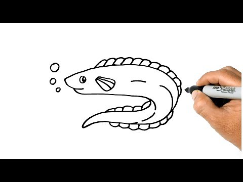 How to DRAW AN EEL easy Step by Step Drawing