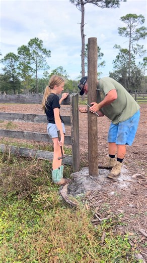 A family farm is where the entire family works together, plays together, and makes a life together!! 🤠🙏🏼❤️#farmlifeisthebestlife | Fletcher Family Farm