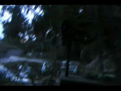 Walt Disney World RIVER COUNTRY - ABANDONED !