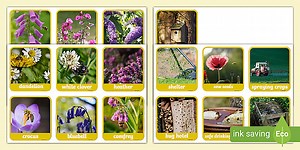 Bee-Friendly Garden Flashcards
