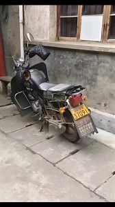 Most Funny AI Video | K-Comedy