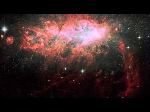 Grateful Dead Terrapin Station 5-17-77 Tuscaloosa Alabama Memorial Coliseum