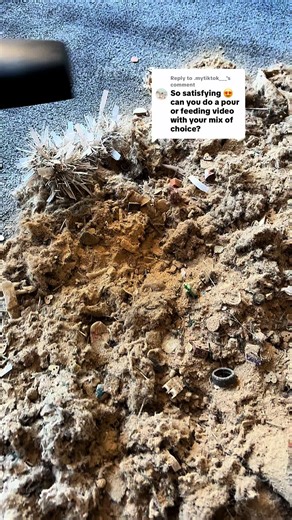 Hetty Vacuum Feeds: Satisfying Crunchy Sounds