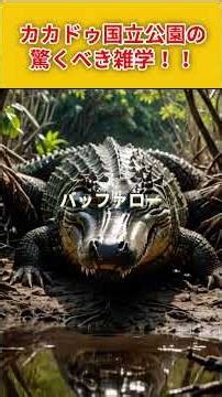【カカドゥ国立公園雑学】カカドゥ国立公園の雑学大集合！！#旅行 #雑学 #shorts #ai #世界遺産 #カカドゥ国立公園