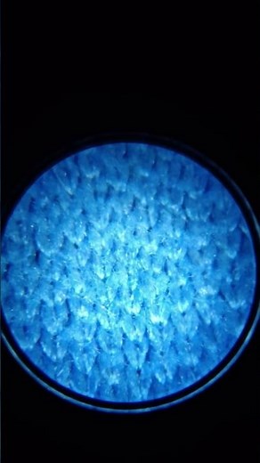 Microfiber under the microscope. See how they hold up under the microscope!