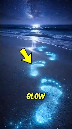 These are 3 Bioluminescent Worlds That Glow in the Dark