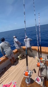 12K views · 98 reactions | Walkers Cay, Bahamas - Sea Base released a Blue Marlin. | GranderWatch.com | Facebook