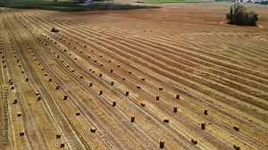 Tractor roaming the fields making cubes of hay. Straw that is compressed into cubes. Making hay cubes.