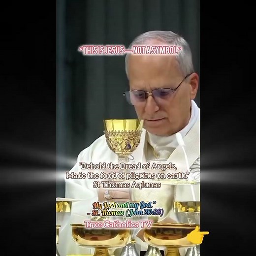Eucharist #catholictheology #truecatholicstv #love#christian#ewtn#catholic#motivation#mass#pope