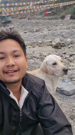 Lebra and the Nature #dog #dogfeelings #nature #dehradun #sehastdara #naturelovers #sukun #lebra