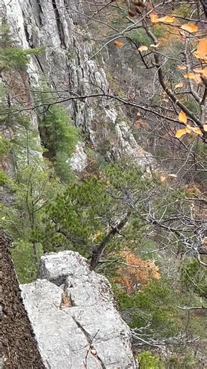 Melanie Lanham on Reels