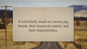 Exploring Pig Breeds: History and Unique Features