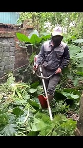 8.4K views · 122 reactions | Satisfying Grass Cutting | Hidden Path Revealed | Mechanical TV | Facebook
