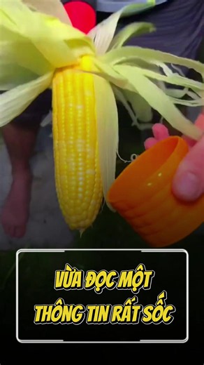 Thật Là Thông Minh #chuyenhaymoingay #radio #radiochuyenhay #vlog #xuhuong